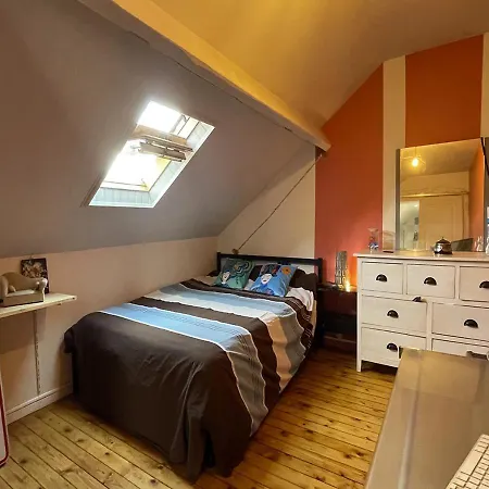 홈스테이 Quartier Jardin Des Plantes - Chambres Avec Salle De Bain Privatives - Piscine-jacuzzi-sauna *